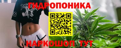 крисы Усть-Илимск