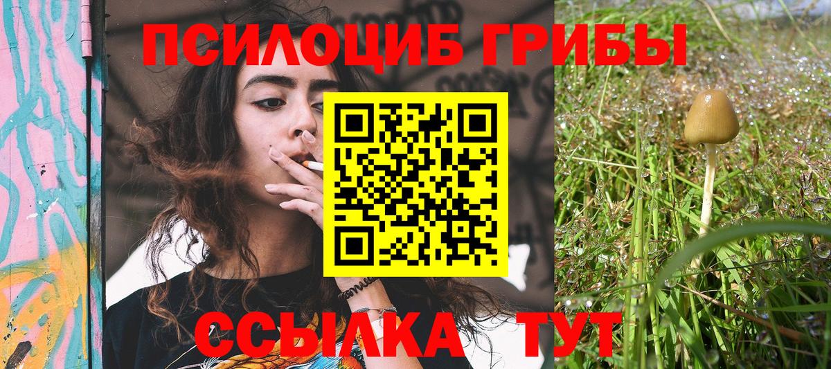 Псилоцибиновые грибы мухоморы Новошахтинск
