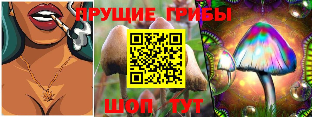 Новошахтинск  Галлюциногенные грибы Magic Shrooms  Вход с VPN 