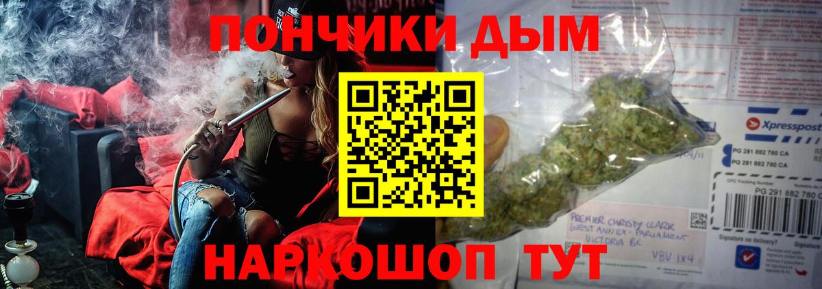 Шишки марихуана конопля Новошахтинск